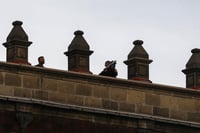 Aclara Presidencia uso de equipo 'antidrones' en Palacio Nacional