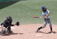 Los peloteritos laguneros han disfrutado este torneo que se realiza con la intención de reactivar la práctica del beisbol infantil. (JESÚS GALINDO)