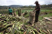 México llega a cumbre climática con propuestas y pendientes