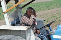 Sector agrícola en La Laguna espera sequía