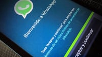 'A nadie se le eliminará su cuenta'; asegura WhatsApp sobre su nueva actualización