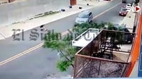 Por arrancones y derrapes han arrollado a dos mascotas en colonia de Torreón