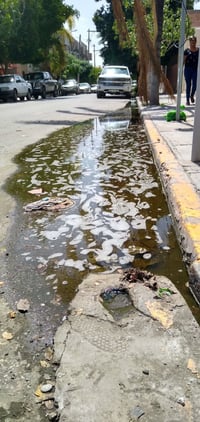 Los brotes de aguas negras continúan en el Centro de Lerdo