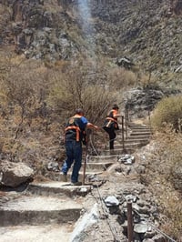 Las Grutas del Rosario (opción para quienes les gusta el senderismo) ha sido supervisada por las brigadas de Protección Civil y denominada como área segura, se acatan las medidas de seguridad dictaminadas por la dirección.
(EL SIGLO DE TORREÓN)