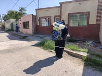 La Dirección de Salud Municipal en Matamoros sigue recibiendo reportes por la presencia de garrapatas y en esta ocasión fueron en las colonias; Benito Juárez y Rosalía Ramírez. (EL SIGLO DE TORREÓN) 