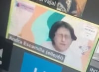 Persona no binaria rompe en llanto en clase virtual al no referirse a ella con lenguaje inclusivo