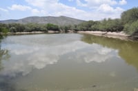 El alcalde, Homero Martínez Cabrera, concretó un convenio con el gobierno del estado para la realización y rehabilitación de 60 bordos de abrevadero, los cuales, durante la actual temporada de lluvia del presente año, se encuentran llenos, lo que ha beneficiado a más de 60 mil cabezas de ganado. (DIANA GONZÁLEZ)