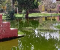 Aguas negras afectan sector Las Vegas de Marrufo en Matamoros