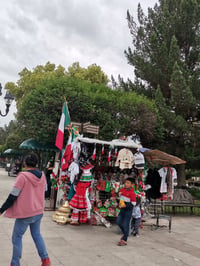 El Ejército pide que no haya romerías en el Grito de Independencia en Durango