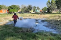 Matamoros realiza fumigación y encalado en Las Vegas de Marrufo para evitar proliferación de moquitos