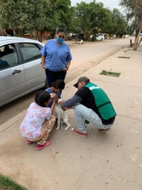 Autoridades de Matamoros inician jornada de vacunación canina