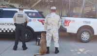 Detectan droga al interior de una bocina; Torreón era su destino
