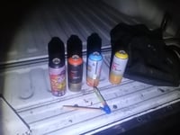 Policías detienen a jóvenes que pintaban grafiti en Nudo Mixteco de Torreón