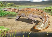 Estudio afirma que dinosaurio en Chile tenía una cola cortante única