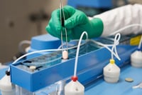 Agencia Europea de Medicamentos avala posible uso de emergencia de la píldora de Pfizer contra el COVID-19