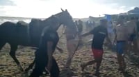 El hombre abandonó la playa momentos después (CAPTURA)