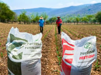 Fertilizantes para México, el otro tema a seguir ante el conflicto entre Rusia y Ucrania