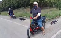 VIDEO: Exhiben a hombre arrastrando a un perro en una motocicleta en Tabasco