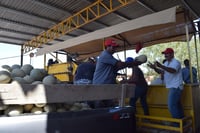 Aseguran que es la primera vez que se creará un Consejo de Productores de Melón y Sandía en Matamoros. (ARCHIVO)