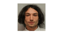 Actor Ezra Miller es detenido en Hawaii