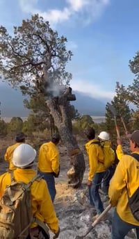 Controlan incendio forestal en sierra de Arteaga