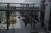 Aeropuerto Internacional Felipe Ángeles pagará 34 millones de pesos por alimentos