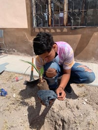 Medio Ambiente reforesta planteles educativos en San Pedro