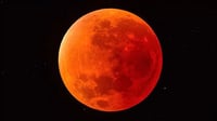 ¿Dónde y cuándo ver el eclipse lunar de este mes?