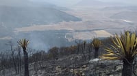 Controlan en un 60 % incendio forestal en Bosques de Huachichil de Arteaga