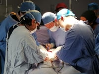 Trasplantan con éxito un hígado conservado durante tres días fuera del cuerpo