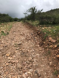 Más del 50 % de los caminos rurales en Durango cuentan con daños