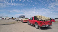 Productores de melón en Matamoros y Viesca buscan otras alternativas