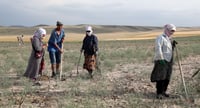 La Peste Negra que asoló la Europa medieval llegó desde el actual Kirguistán