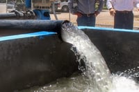 Prevén arranque en próximos días de nuevos pozos de agua potable en Torreón