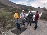 Continúa avistamiento de osos en Región Sureste de Coahuila
