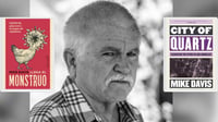 Fallece el escritor estadounidense Mike Davis a los 76 años de edad