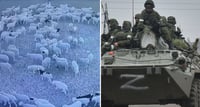 Todo un resumen de historias e imágenes populares, pero completamente falsas. (ESPECIAL)