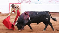 Muy voluntarioso se mostró el torero lagunero Arturo Gilio en el Bajío, en el que logró cortar una oreja a su segundo enemigo. (Cortesía NTR Toros)