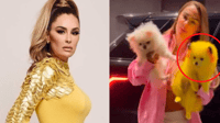 Imagen Ninel Conde es criticada en redes sociales por 'fomentar' el maltrato animal