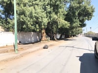 (CORTESÍA)