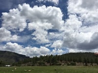 Se requiere de un avión fuerte para poder volar por arriba de las nubes y aplicar el procedimiento de bombardeo. (EL SIGLO DE TORREÓN)