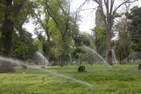 El Municipio aseguró que las labores de mantenimiento en el Bosque Venustiano Carranza son permanentes. (CORTESÍA)