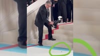 Imagen Una cucaracha le quita el glamour a la alfombra blanca del Met Gala 2023
