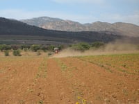 Falta de programas de apoyo para el sector campesino genera condiciones de pobreza. (EL SIGLO DE TORREÓN)