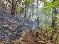 Con información actualizada al 13 de julio, se tiene que en Durango se han registrado 336 incendios. (EL SIGLO DE DURANGO)