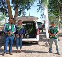 Suman a empresas a programa 'Planta y cuida' en Torreón, con el fin de impulsar reforestación.