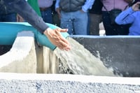 Imagen Urge replantear tarifas de agua en México, indica Imco