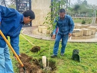 La vegetación plantada en este espacio público, forma parte de las especies en la zona que son regadas diariamente con pipas de agua tratada. (EL SIGLO DE TORREÓN)