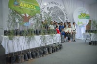 Con esta acción se reforestarán 26 escuelas, las cuales tendrán más espacios verdes y un ambiente más sano. (CORTESÍA)