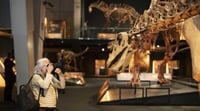 El 'Patagotitan mayorum' es la pieza central de la exposición 'Dinosaurios de la Patagonia'. (EFE)